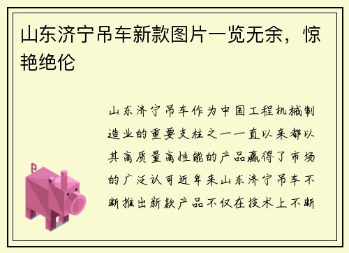 山东济宁吊车新款图片一览无余，惊艳绝伦