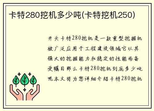 卡特280挖机多少吨(卡特挖机250)